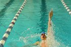 Swimming vs Bentley  Wheaton College Swimming & Diving vs Bentley College. - Photo by Keith Nordstrom : Wheaton, Swimming & Diving